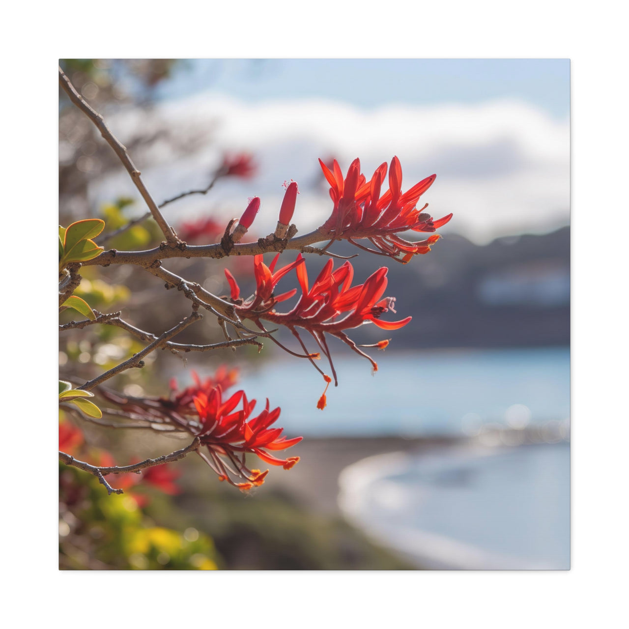 Red Flower on the Coast Canvas Wall Art