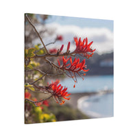 Thumbnail for Red Flower on the Coast Canvas Wall Art