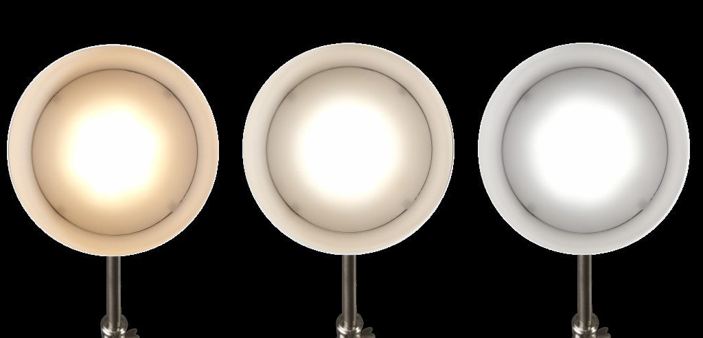 Brushed Silver LED Adjustable Desk Lamp-1